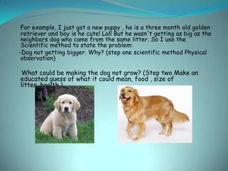 For example, I just got a new puppy , he is a three month old golden
 retriever and boy is he cute! Loll But he wasn't getting as big as the
 neighbors dog who came from the same litter. So I use the
 Scientific method to state the problem:
-Dog not getting bigger. Why? (step one scientific method Physical
 observation)

What could be making the dog not grow? (Step two Make an
educated guess of what it could mean, food , size of
litter, health.)
 