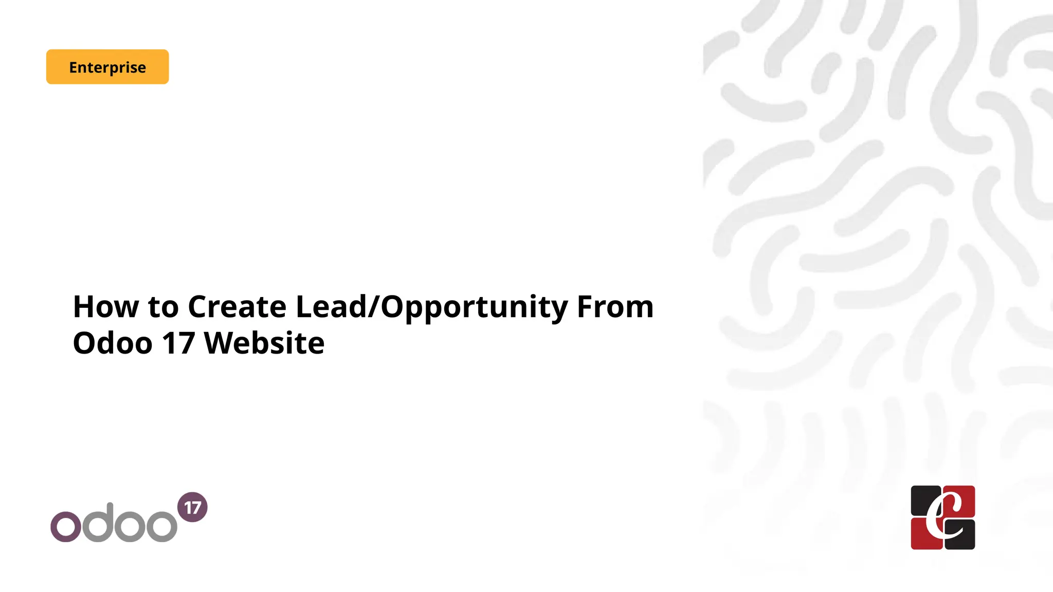 How to Create Lead/Opportunity From
Odoo 17 Website
Enterprise