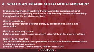 How to Create Effective Organic Social Media Campaigns for Brand Growth ...