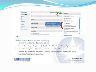 How to create word press