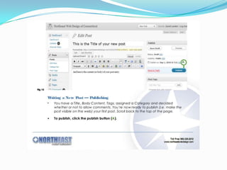 How to create word press