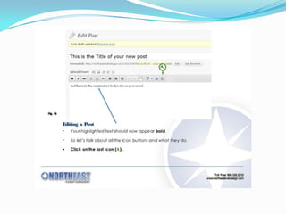 How to create word press
