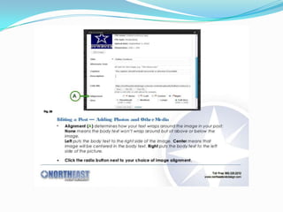 How to create word press
