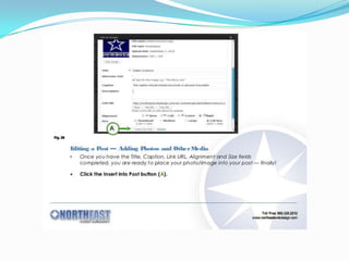 How to create word press