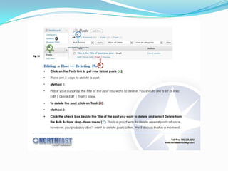 How to create word press