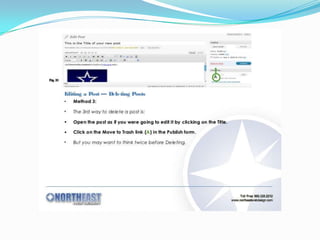 How to create word press