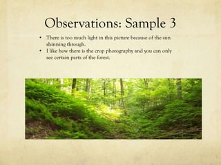 Observations: Sample 3
• There is too much light in this picture because of the sun
  shinning through.
• I like how there is the crop photography and you can only
  see certain parts of the forest.
 
