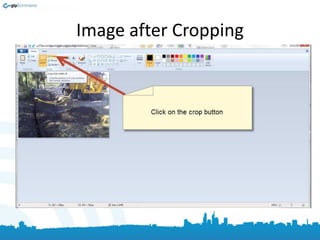 Image after Cropping
 