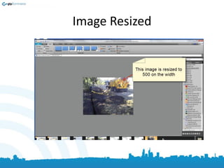 Image Resized
 