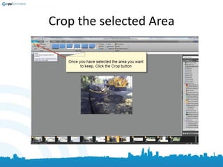 Crop the selected Area
 