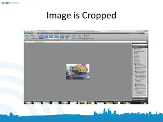 Image is Cropped
 