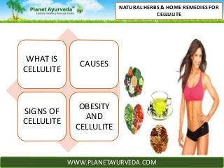 WWW.PLANETAYURVEDA.COM
NATURAL HERBS & HOME REMEDIES FOR
CELLULITE
WHAT IS
CELLULITE
CAUSES
SIGNS OF
CELLULITE
OBESITY
AND
CELLULITE
 