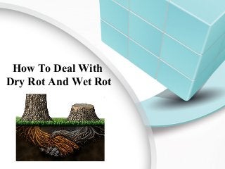 How To Deal With
Dry Rot And Wet Rot
 
