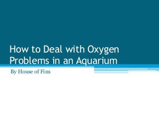 How to Deal with Oxygen
Problems in an Aquarium
By House of Fins
 