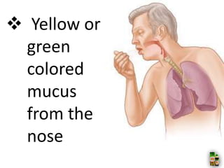  Yellow or
green
colored
mucus
from the
nose
 