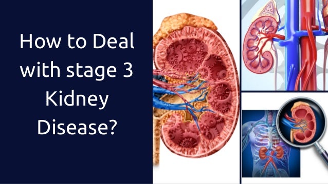 How to Deal with Stage 3 Kidney Disease