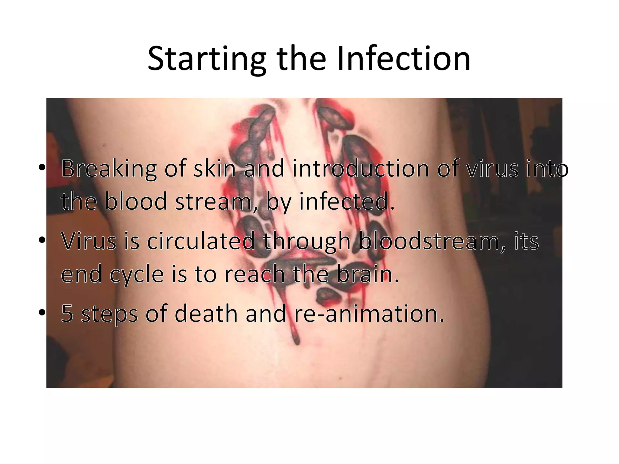 Starting the InfectionBreaking of skin and introduction of virus into the blood stream, by infected.Virus is circulated through bloodstream, its end cycle is to reach the brain.5 steps of death and re-animation.