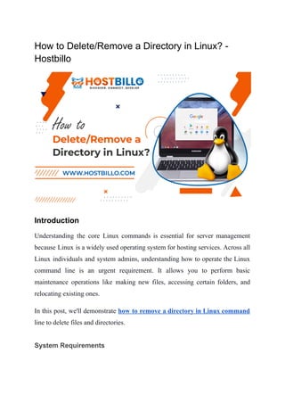 How to Delete/Remove a Directory in Linux? -
Hostbillo
Introduction
Understanding the core Linux commands is essential for server management
because Linux is a widely used operating system for hosting services. Across all
Linux individuals and system admins, understanding how to operate the Linux
command line is an urgent requirement. It allows you to perform basic
maintenance operations like making new files, accessing certain folders, and
relocating existing ones.
In this post, we'll demonstrate how to remove a directory in Linux command
line to delete files and directories.
System Requirements
 