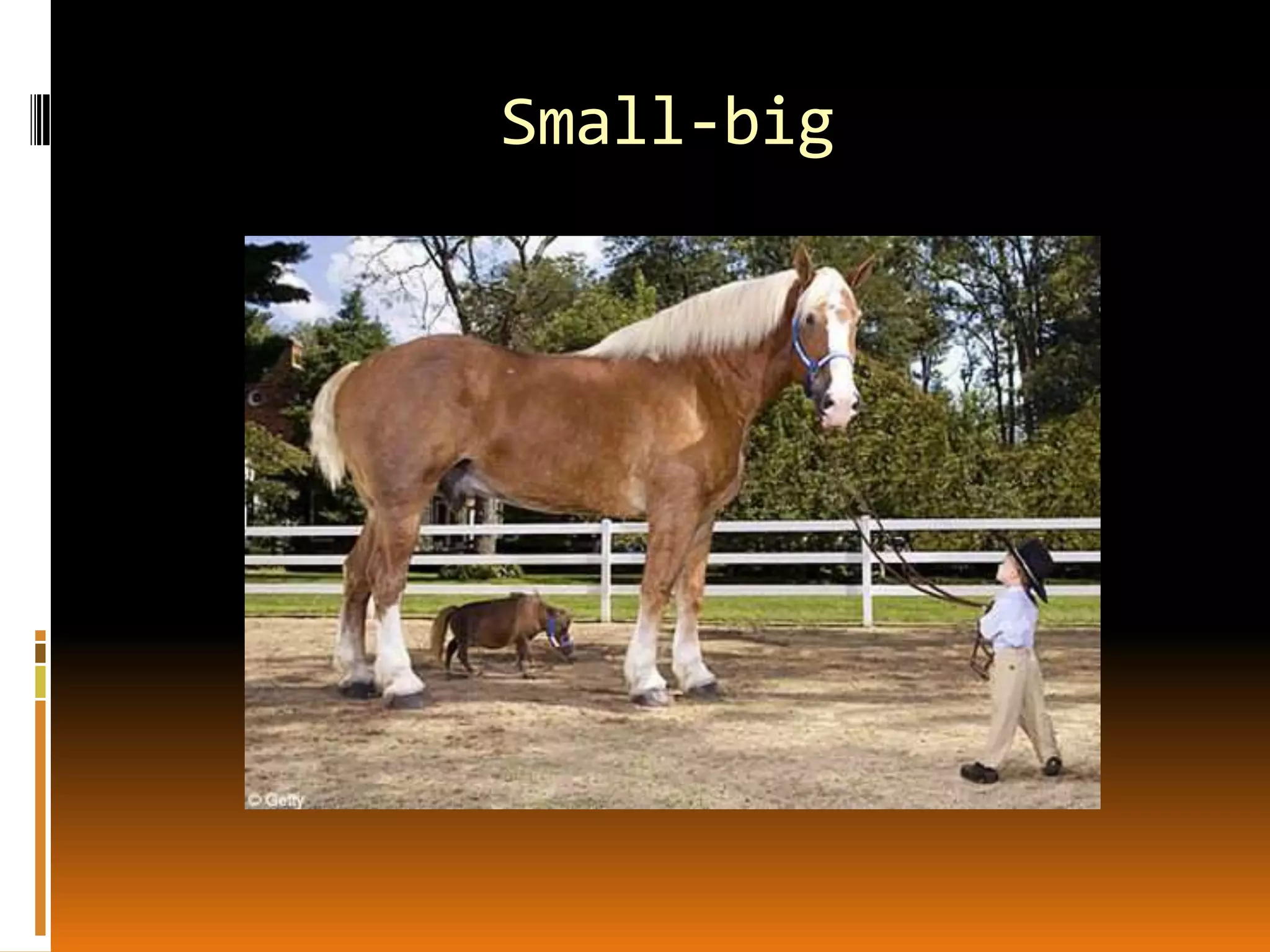Small-big