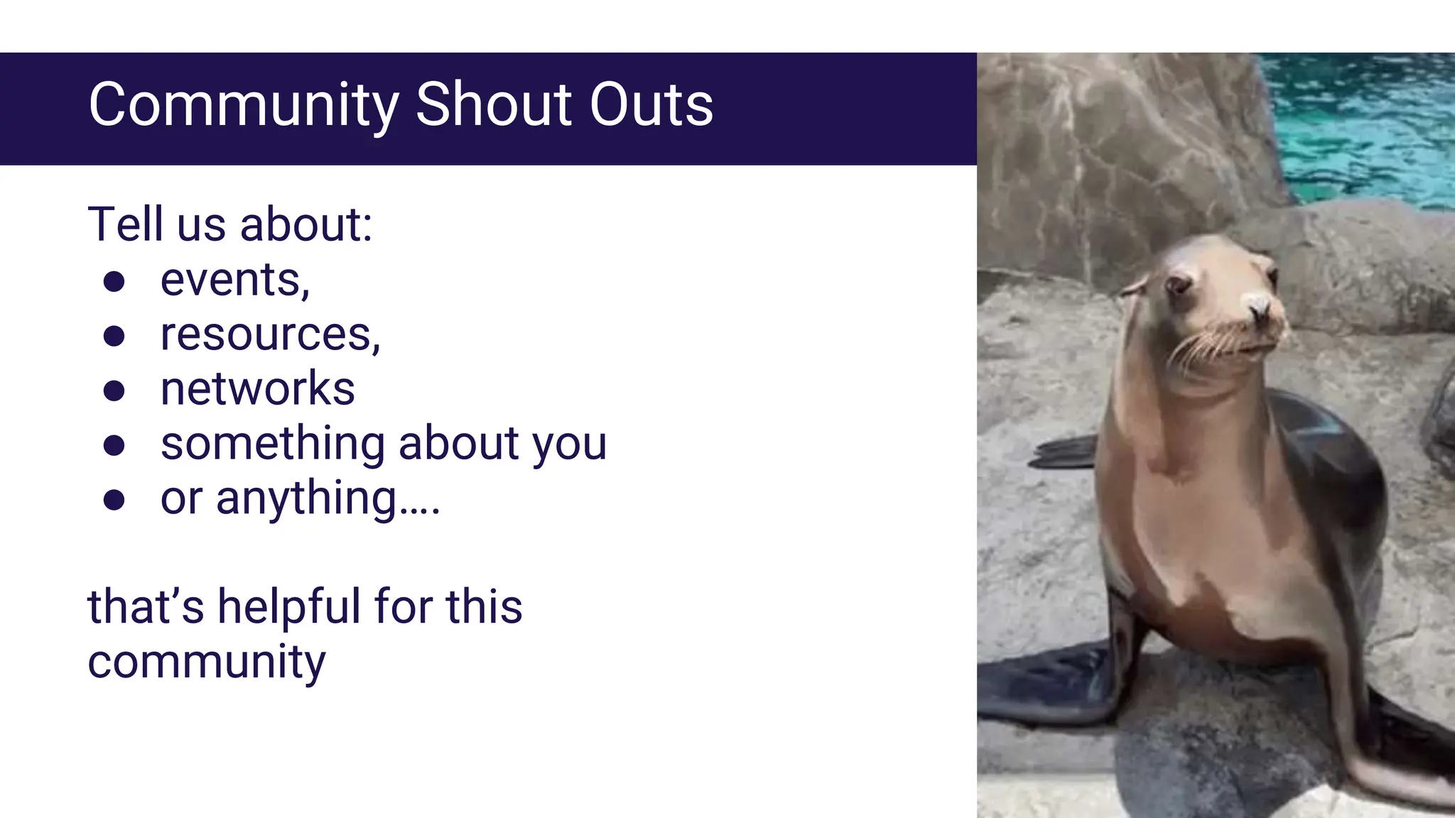 Community Shout Outs
Tell us about:
● events,
● resources,
● networks
● something about you
● or anything….
that’s helpful for this
community
 