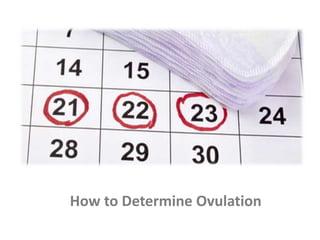 How to Determine Ovulation
 
