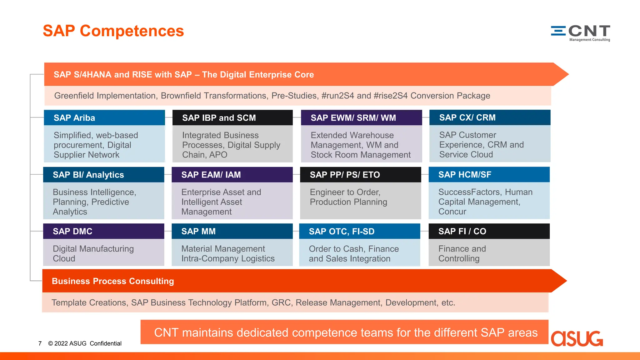 How to Develop a Roadmap with SAP RISE doc | PDF