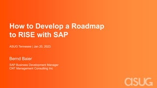 How to Develop a Roadmap with SAP RISE doc | PDF