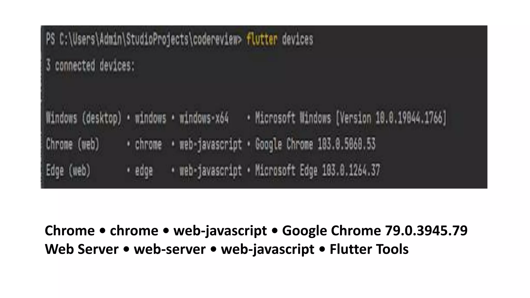 Chrome • chrome • web-javascript • Google Chrome 79.0.3945.79
Web Server • web-server • web-javascript • Flutter Tools
 