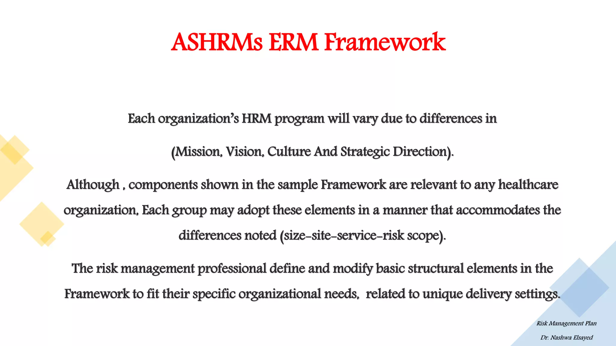 Healthcare Risk Management Plan | PDF