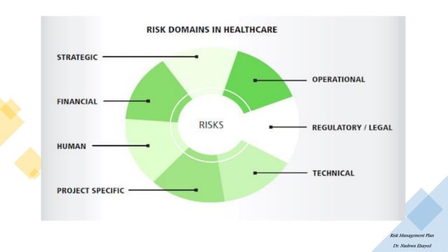 Healthcare Risk Management Plan | PDF