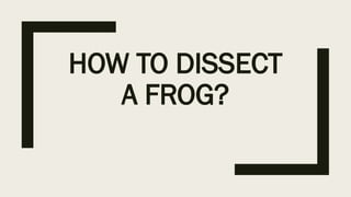 Comprehensive Guide to Frog Dissection: Techniques and Grading Criteria ...