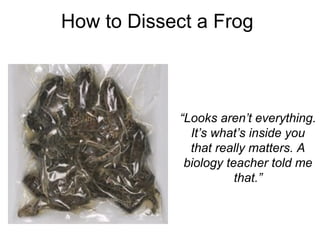 How to Dissect a Frog
“Looks aren’t everything.
It’s what’s inside you
that really matters. A
biology teacher told me
that.”
 