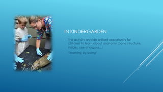 IN KINDERGARDEN
- This activity provide brilliant opportunity for
children to learn about anatomy (bone structure,
insides, use of organs...)
- “learning by doing“