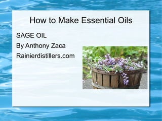 How to Make Essential Oils
SAGE OIL
By Anthony Zaca
Rainierdistillers.com
 