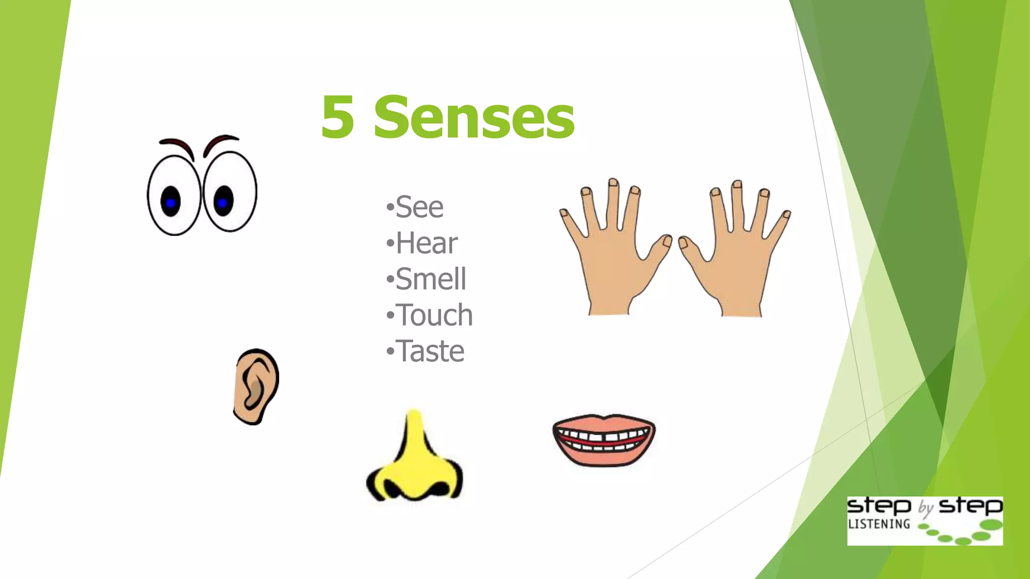 •See
•Hear
•Smell
•Touch
•Taste
5 Senses
 