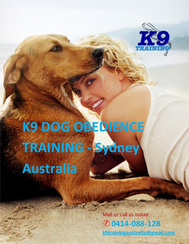 Online Dog Training Courses Australia Online Dog Training Courses Australia