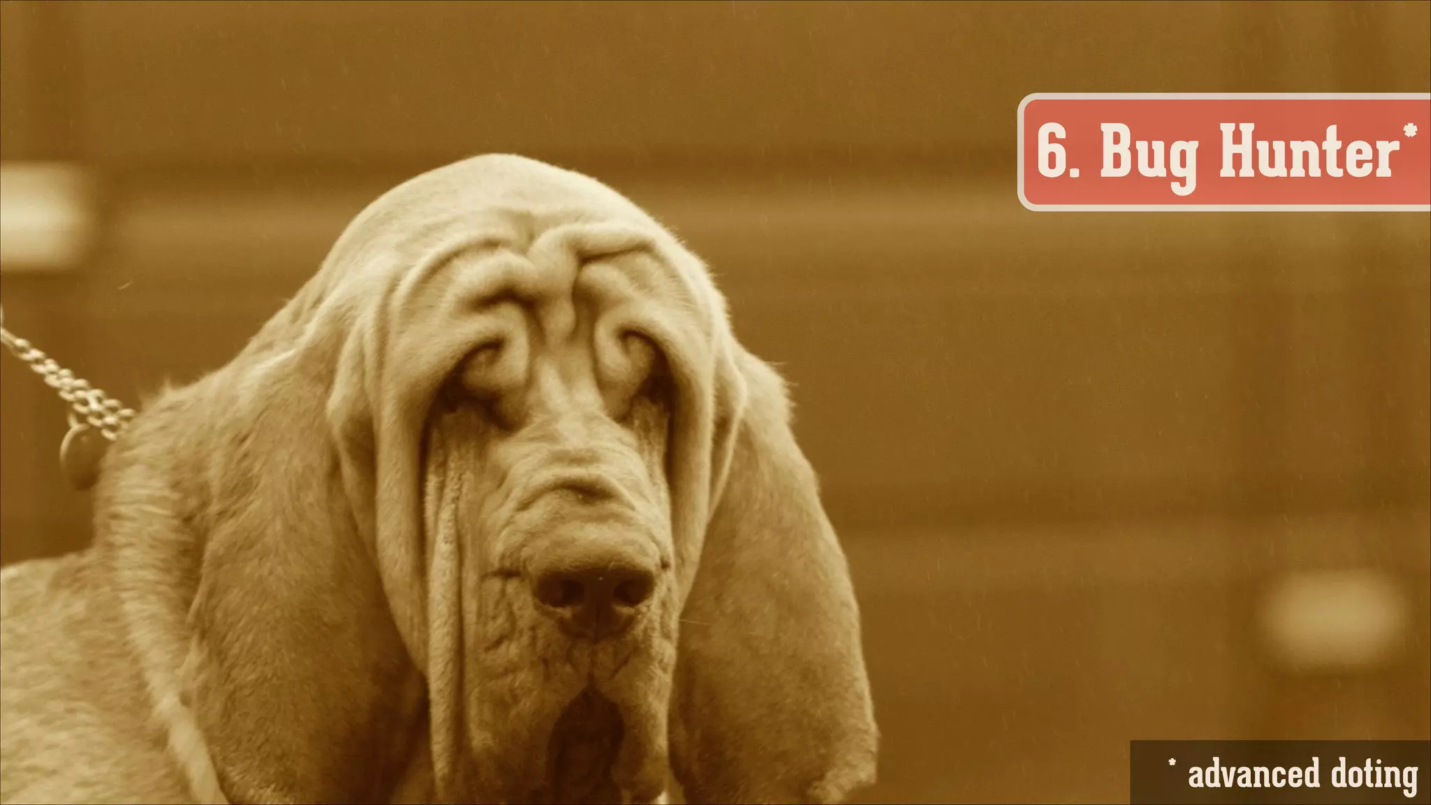 6. Bug Hunter*

* advanced doting

 