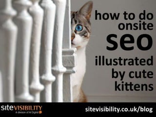 How To Do Onsite Seo - Illustrated By Cute Kittens