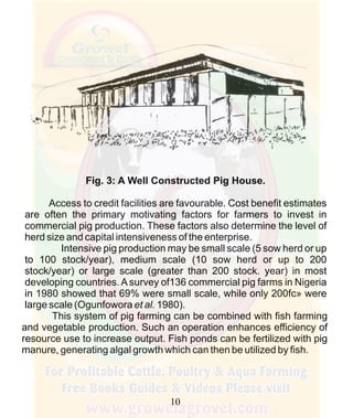 How To Do Profitable Pig Farming