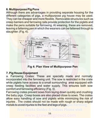 How To Do Profitable Pig Farming