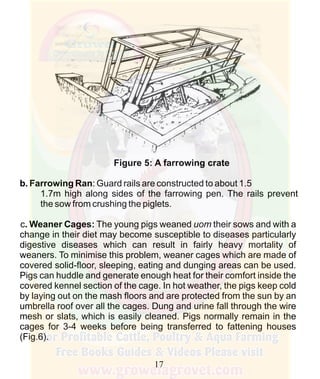 How To Do Profitable Pig Farming