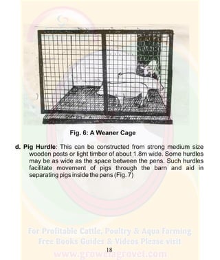 How To Do Profitable Pig Farming