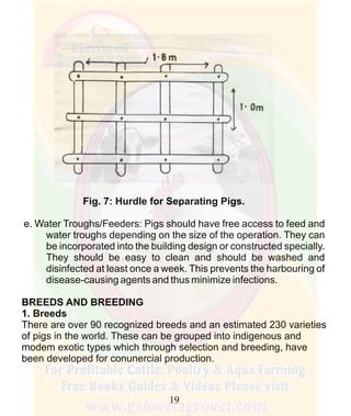 How To Do Profitable Pig Farming