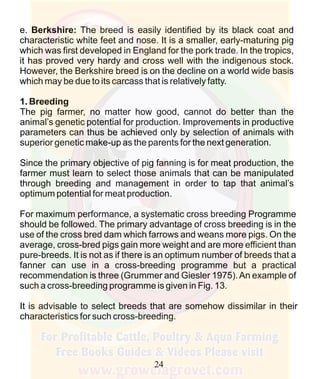 How To Do Profitable Pig Farming