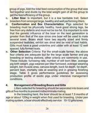 How To Do Profitable Pig Farming