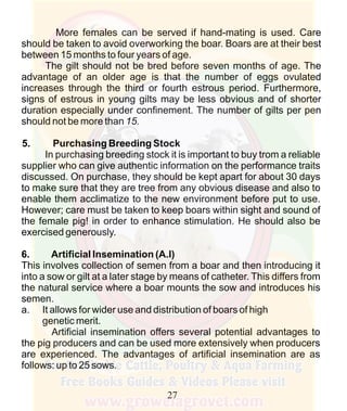 How To Do Profitable Pig Farming