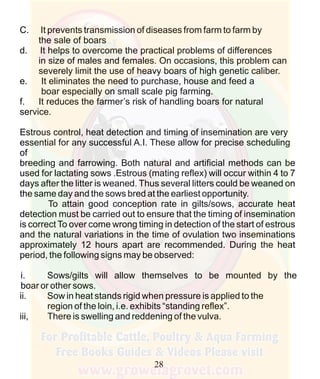 How To Do Profitable Pig Farming