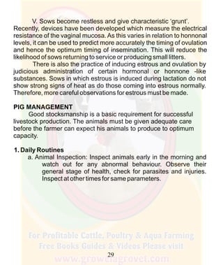 How To Do Profitable Pig Farming