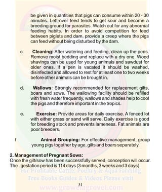 How To Do Profitable Pig Farming