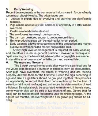 How To Do Profitable Pig Farming